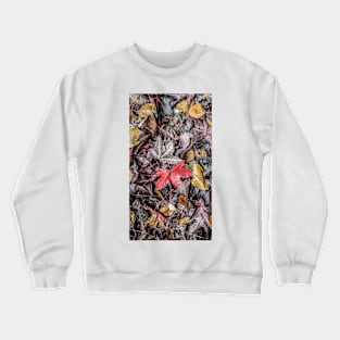 Autumn Leaves Crewneck Sweatshirt